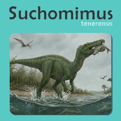 Suchomimus | Story Suchomimus | Story