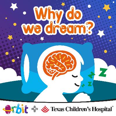 Why do we dream?
