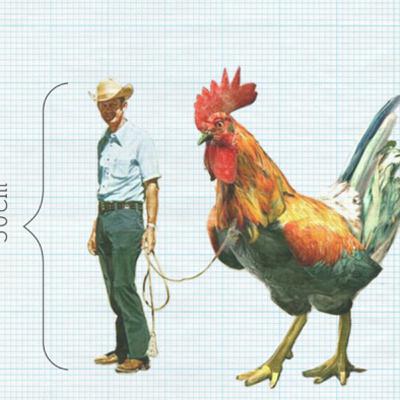 Ongelofelijk! Humanisme in Overijssel - De Ongelofelijke Krimpende Mens