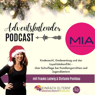 16. Türchen: (Triggerwarnung) Kindeswohl, Kindesentzug und der Loyalitätskonflikt - über Schieflage bei Familiengerichten und Jugendämtern