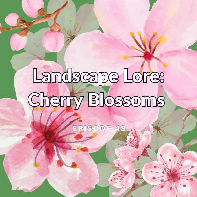 Landscape Lore: Cherry Blossoms