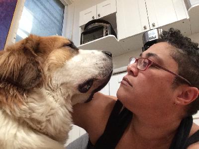 Donna-Michelle St. Bernard Thought #4 Collateral Animals