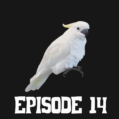 Episode 14 Episode 14