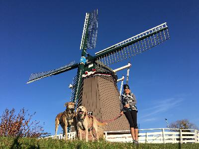 Pawcast Podcast #30 Illinois Pawcast Podcast #30 Illinois