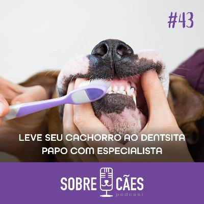 Leve seu cachorro ao dentista - Entrevista com uma especialista
