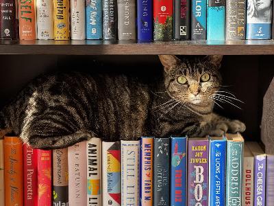 Recent reads and middle grade March