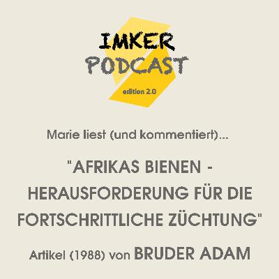 IMKERPODCAST Marie liest... "Afrikas Bienen - Herausforderung für die fortschrittliche Züchtung" von Bruder Adam (1988)