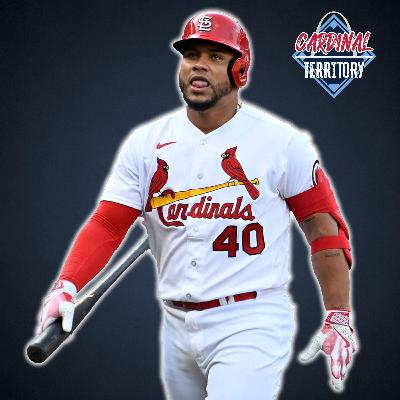 Willson Contreras suspended, what's next for Andre Pallante?