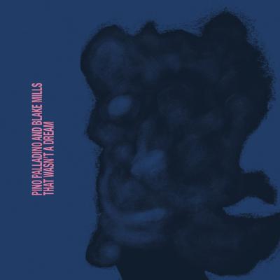 Somnambulista / Pino Palladino & Blake Mills