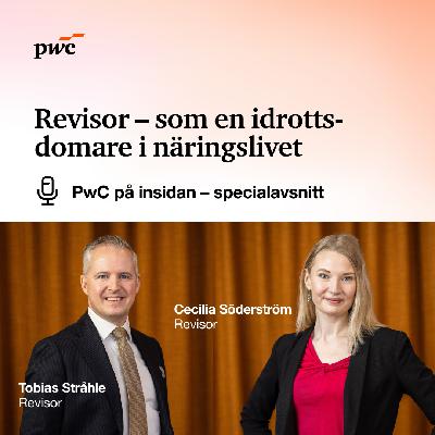 Specialavsnitt: Revisor – som en idrottsdomare i näringslivet