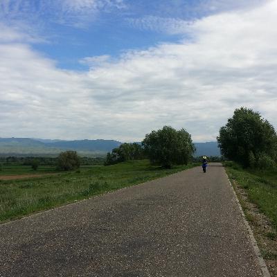 这次婚礼 竟然一点不伤感情