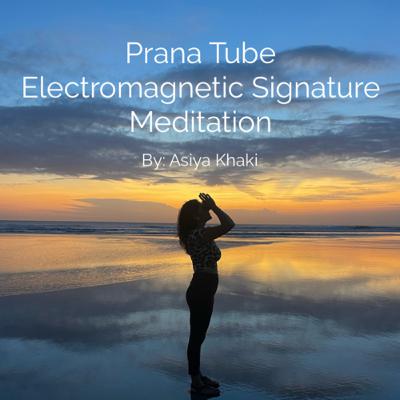 Prana Tube- Electromagnetic Signature Meditation Prana Tube- Electromagnetic Signature Meditation