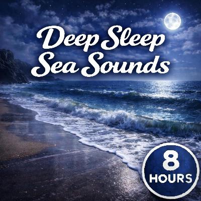 Evening Sea Sounds Rhythms Evening Sea Sounds Rhythms