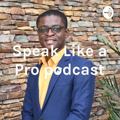 Episode 10 : A conversation with two time international award winning public speaker.