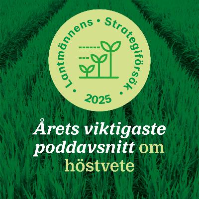106: Årets viktigaste poddavsnitt om höstvete