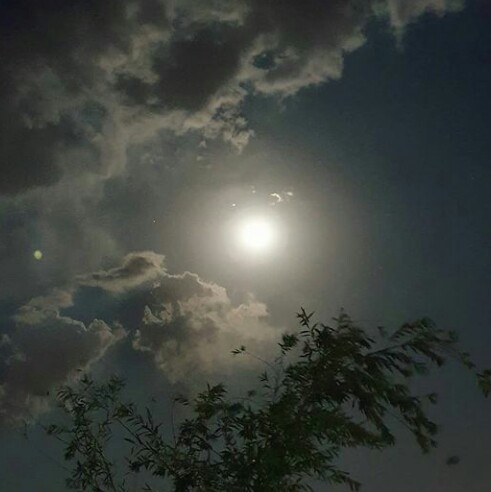 تماشای ماه