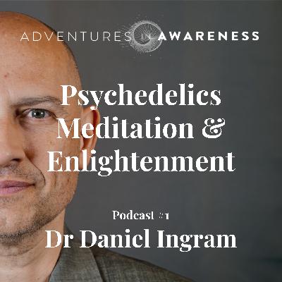Psychedelics, Meditation & Enlightenment - Dr Daniel Ingram