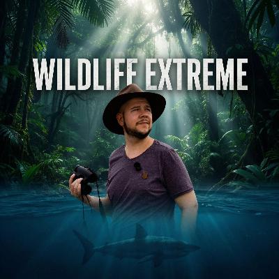 Wildlife Extreme Borneo! Von Nasenaffen und Delfinen denen genau Diese fehlt.