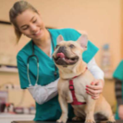 2.06 Trabajo en mi comunidad