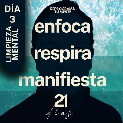 🌻👁️124 - Día 3 "Mente en blanco" - (21 días de meditación)