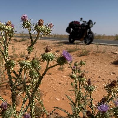 Vastas planicies de este. Marruecos 2025 - Episodio exclusivo para mecenas