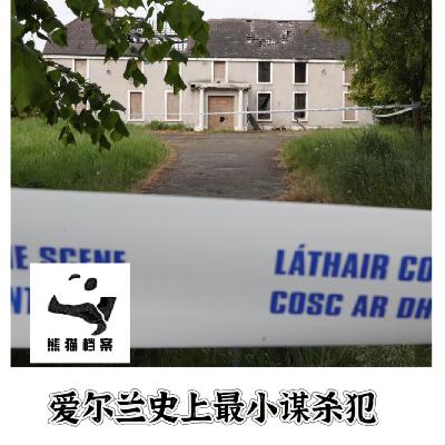 E09. 十四岁少女的墓碑：最小谋杀犯和爱尔兰的长夜