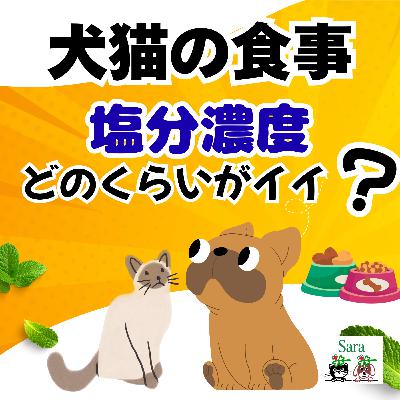 #1032. 手作りごはん：塩分濃度はどのくらいが適切❓（質問に回答）