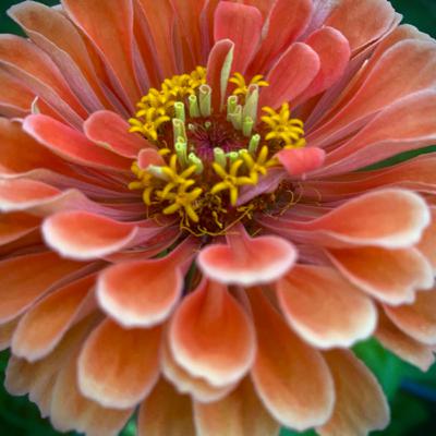“Bedtime” A Guided Meditation For GREAT Sleep