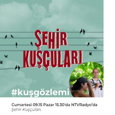Şehir Kuşcuları - 39.Bölüm - Kuşlar ıslanır mı? Şehir Kuşcuları - 39.Bölüm - Kuşlar ıslanır mı?