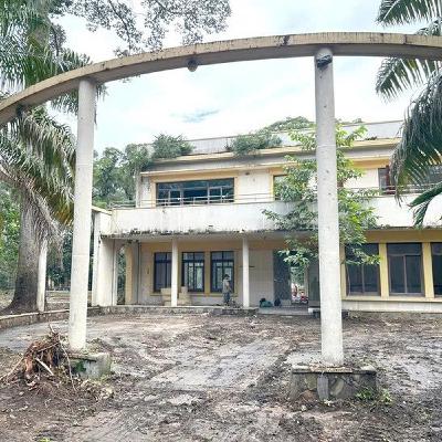 Nhiều chuyên gia góp ý về công trình tưởng niệm nạn nhân COVID-19 ở TP.HCM