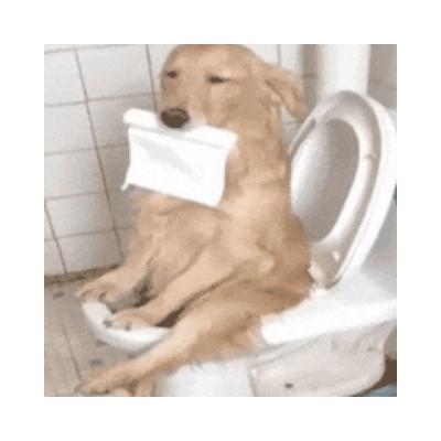 肠道说明书:腹泻和便秘是身体给你最直接的预警 肠道说明书:腹泻和便秘是身体给你最直接的预警
