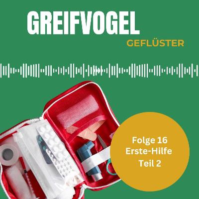 Erste Hilfe bei Greifvögeln, Falken und Eulen - Interview mit Dr. Dominik Fischer - Teil 2