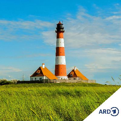 Natürlich engagiert: Ökologischer Freiwilligendienst an der Nordsee