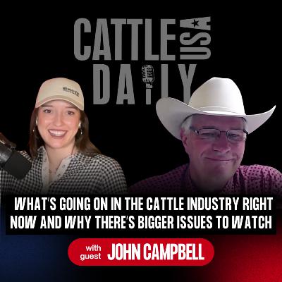 289: What’s Going on in the Cattle Industry Right Now and Why There’s Bigger Issues to Watch 289: What’s Going on in the Cattle Industry Right Now and Why There’s Bigger Issues to Watch