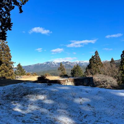 オンライン朝の会を始めました❣️