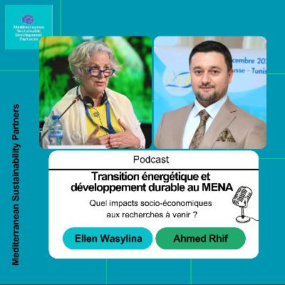 Transition énergétique et développement durable au MENA