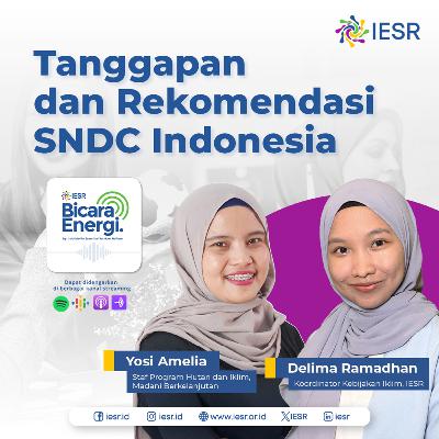 Tanggapan dan Rekomendasi SNDC Indonesia