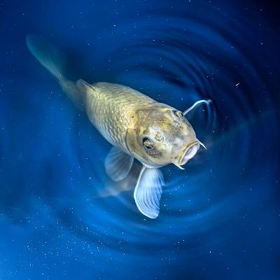 Art | Artist Resources - "Artwork Archive" Art | Artist Resources - "Artwork Archive"