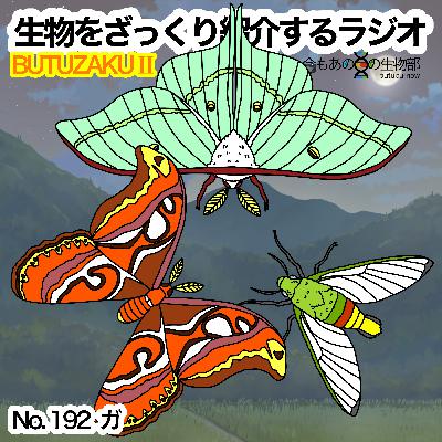 第92話：✉️「ガ」をざっくり紹介