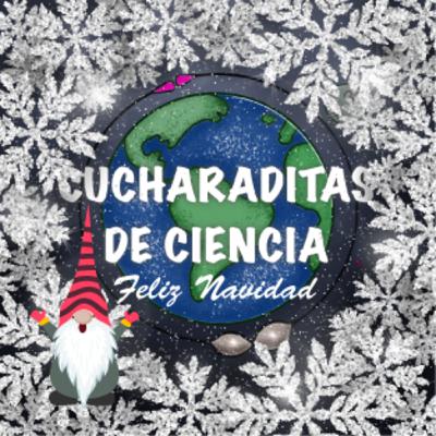 290 Navidades