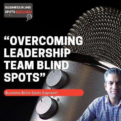 “Overcoming Leadership Team Blind Spots" with Dan Norenberg