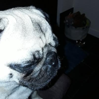 Before we start Before we start