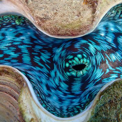 GEV4320 Oceans in the Anthropocene Spring 2021