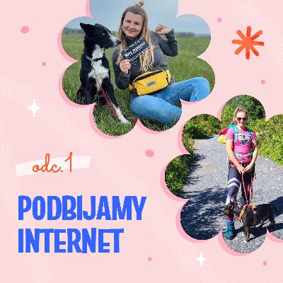 Podbijamy internet