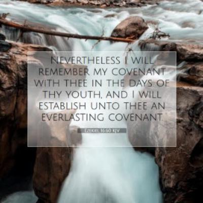 Daily Audio Torah ~ Nov 7, 2025 ~ A New Marriage Covenant