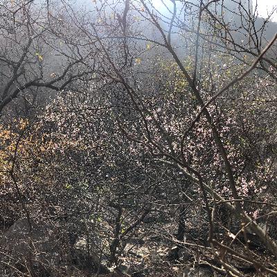 Reconexión #Meditación #IniciodeDía