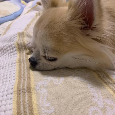 #1214 2025年の締めくくり from Radiotalk