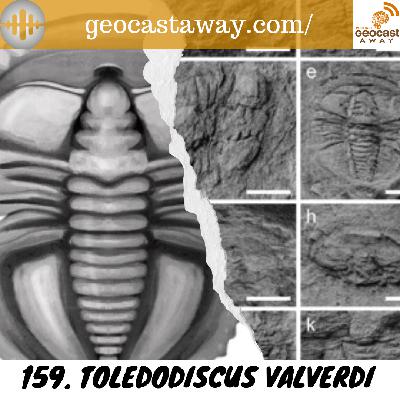 159. Toledodiscus valverdi 159. Toledodiscus valverdi