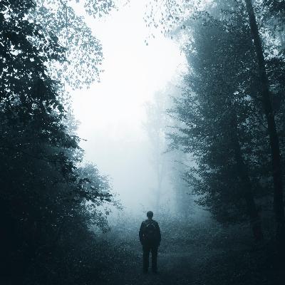 Helga M. Novak: Die Schwedenchronik Helga M. Novak: Die Schwedenchronik