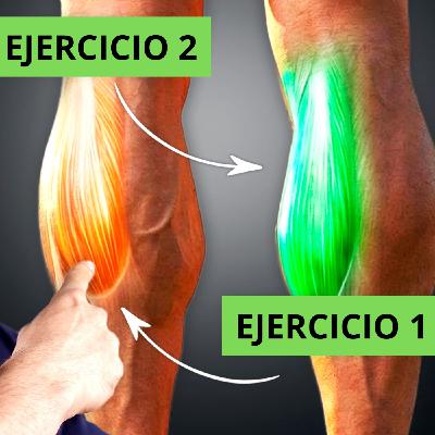EJERCICIOS para CRECER tus GEMELOS EJERCICIOS para CRECER tus GEMELOS